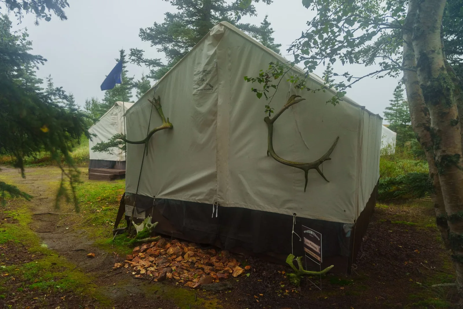 Canvas wall tent with caribou antlers in the misty spruce forest at camp
