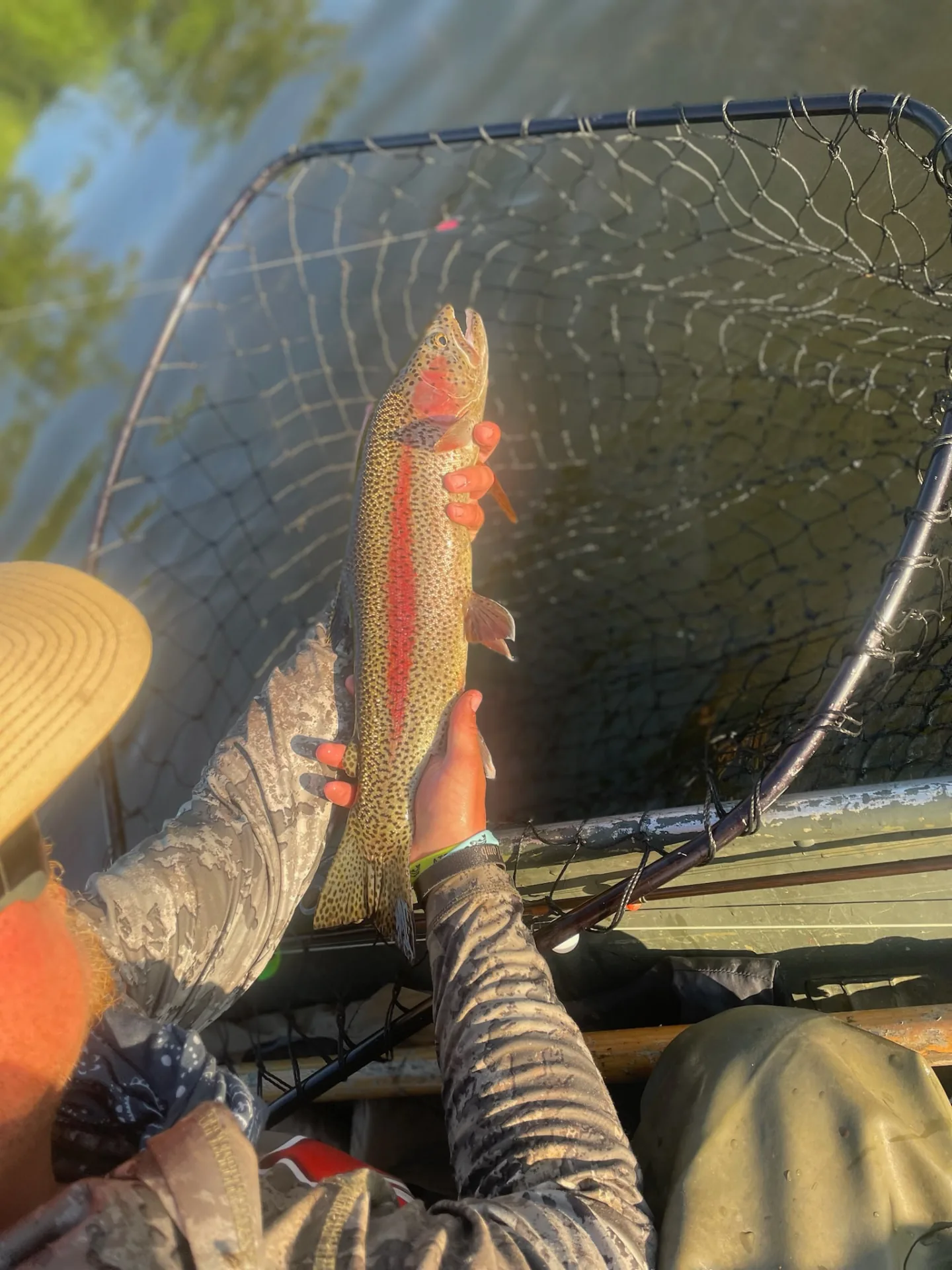 Angler holding a rainbow trout upright over a landing net in the boat